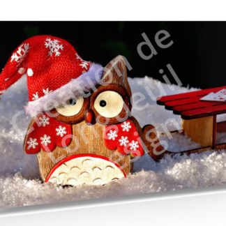 Carte souhait de Noël "Hibou dans la neige"