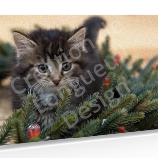 Carte de souhait Chaton de Noël